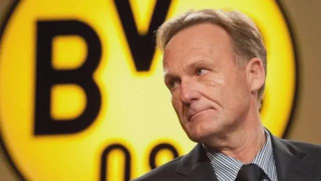 世欧预战报：赖因德斯、加克波传射，荷兰4-0直通世界杯（世预赛欧洲区战报：赖因德斯、加克波传射建功，荷兰4-0直接晋级世界杯）